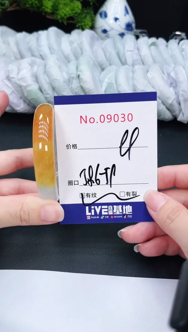 未镶嵌手镯翡翠9030