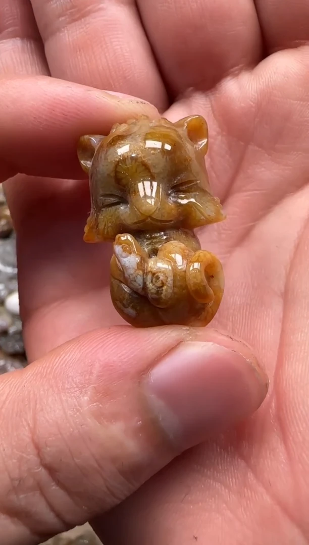 【闪购商品】硅化珊瑚（珊瑚玉）颈饰未镶嵌053