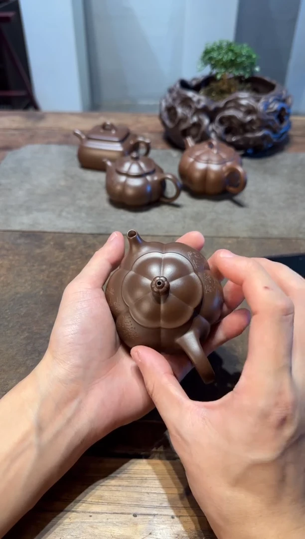 茶壶紫砂大**G大鱼海棠