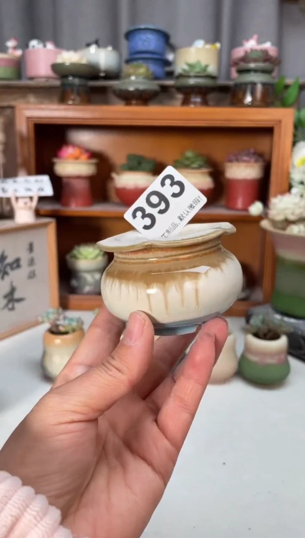 瓷片393小芳花盆编号