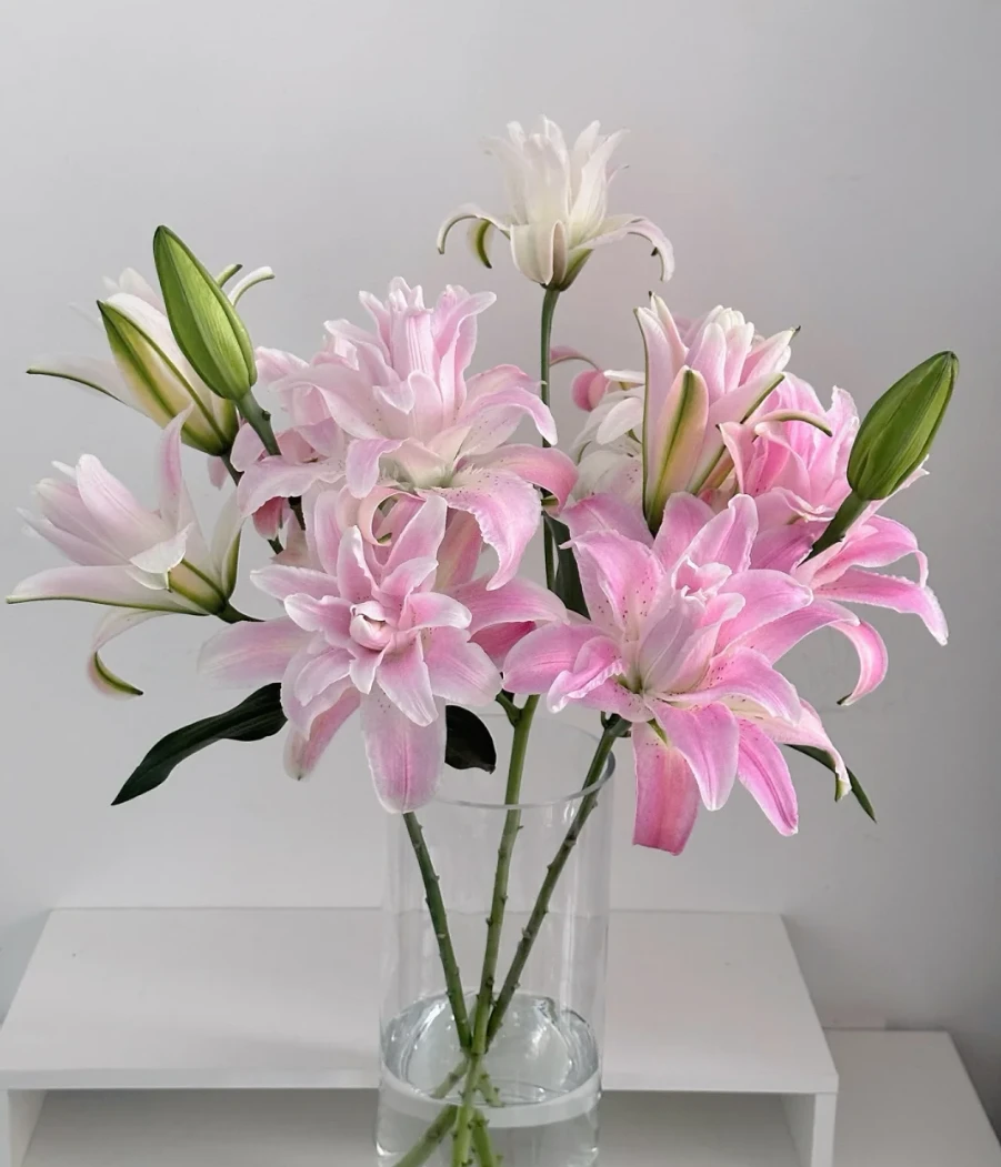 【1单包邮】 莲花雅致重瓣香水百合 昆明基地直发 生活鲜花