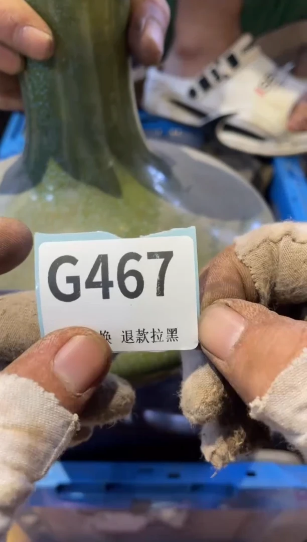 瓷片兵*表弟直播链接火爆火爆