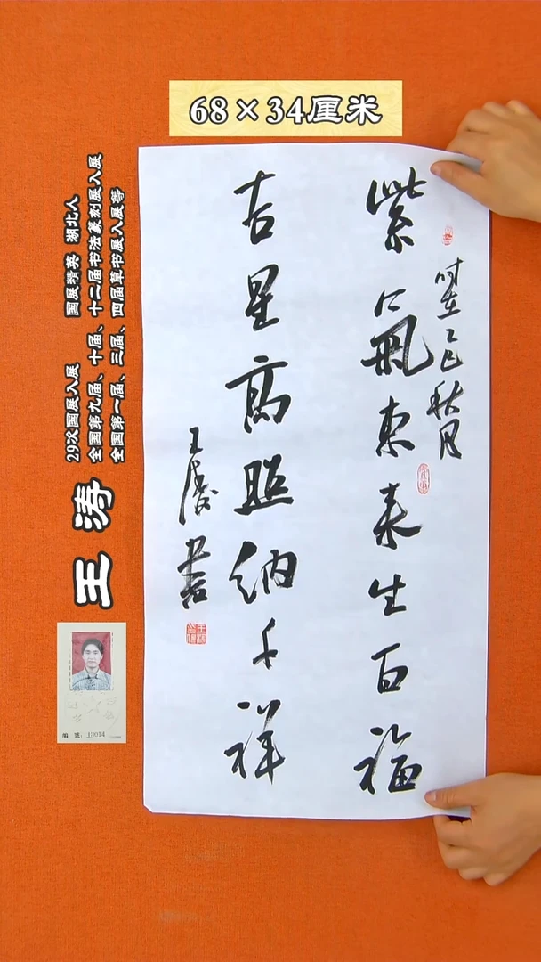 书法153R王涛书法作品