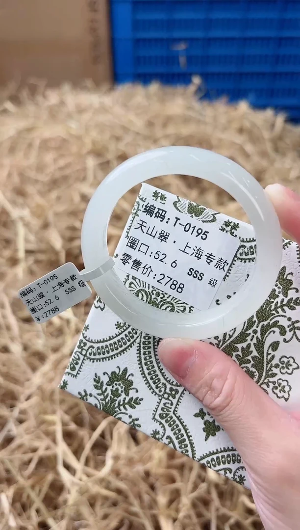未镶嵌手镯石英质玉T-0195