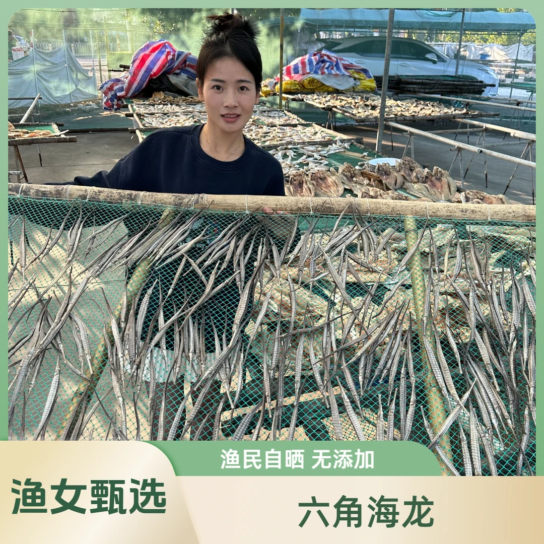 湛江 六角海龙干14条