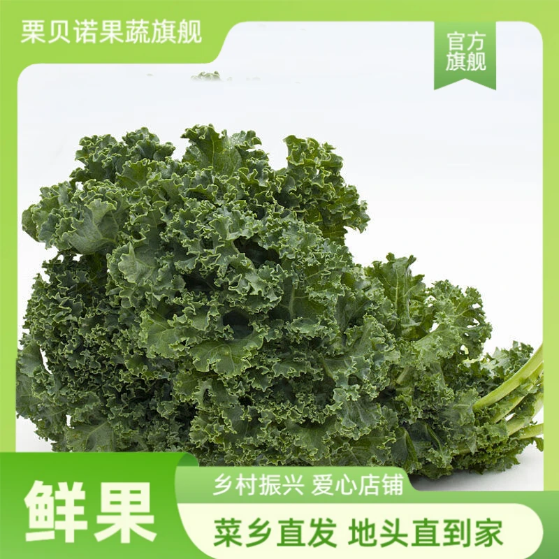羽衣甘蓝 新鲜采摘蔬菜沙拉西餐食材榨汁菜现摘现发