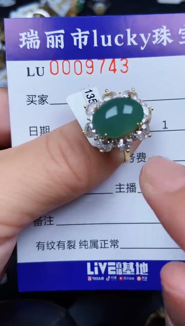 翡翠银S925镶嵌颈饰9743