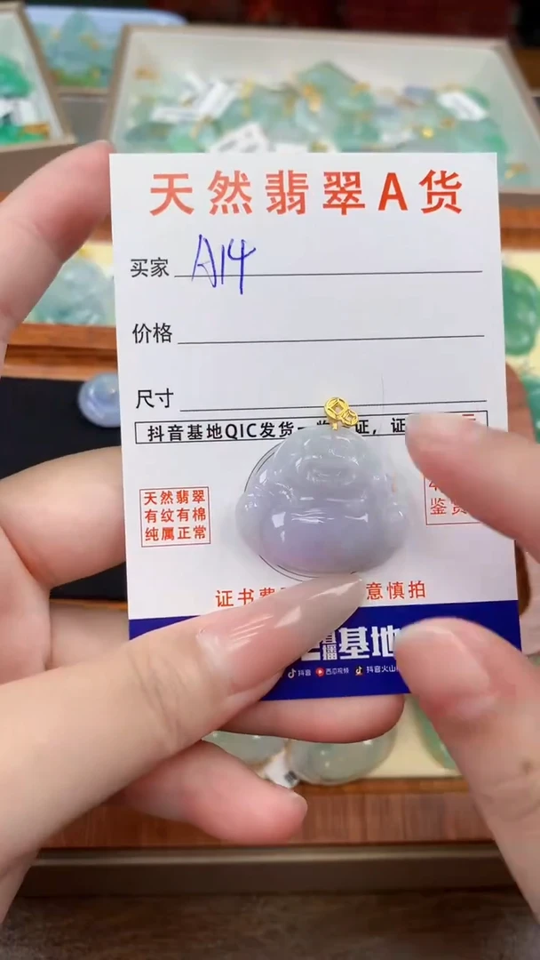 颈饰未镶嵌翡翠天然A货翡翠挂件