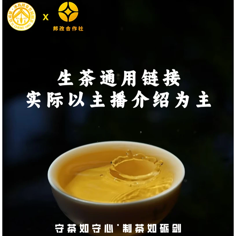 【104】临时链接/村长给大家的茶普洱茶核心产区/普洱茶