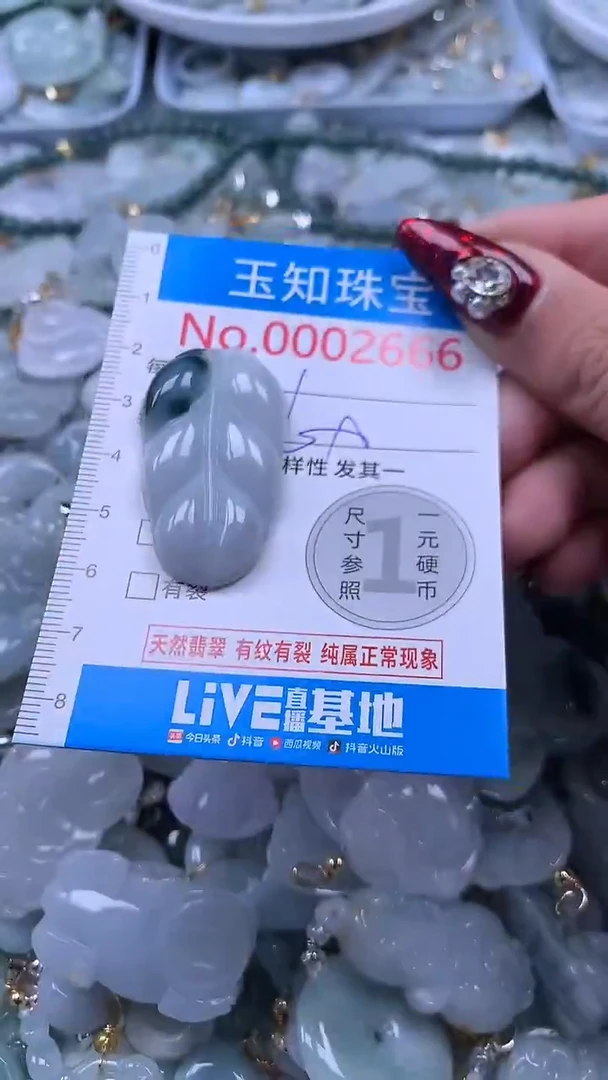 吊坠(不含链)未镶嵌翡翠2666