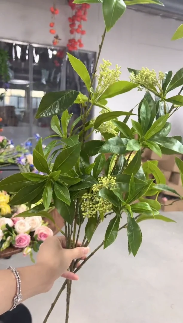 2枝马醉木组合（）