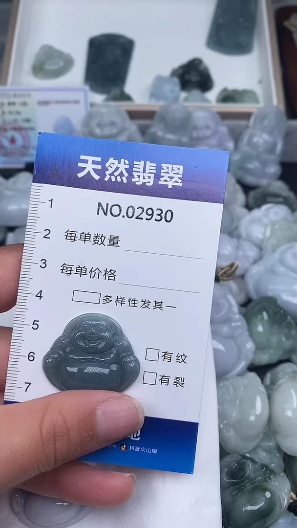 颈饰未镶嵌翡翠纯天然A货翡翠2930