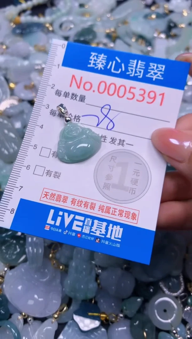 吊坠(不含链)未镶嵌翡翠5391