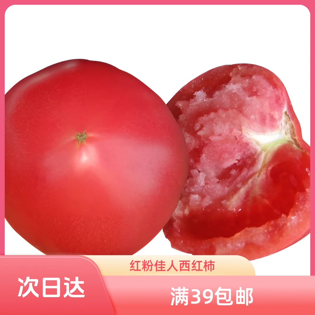 红粉佳人西红柿（山东）0.8-1斤（2-3个果）新鲜北京市