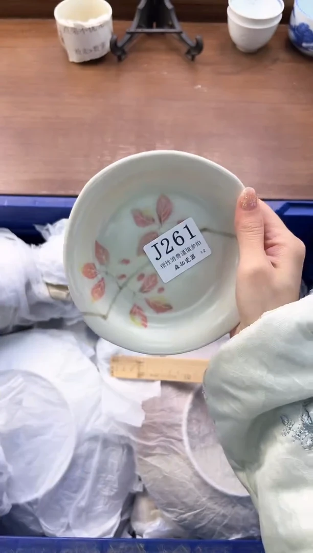【闪购商品】瓷片----------J261