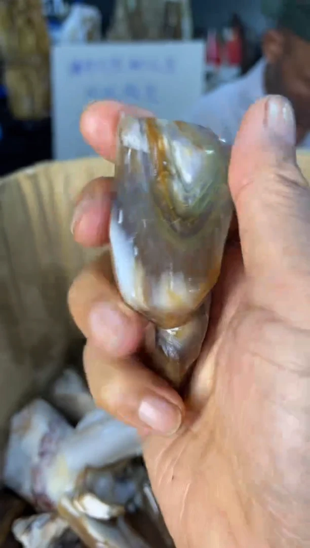 未镶嵌手把件硅化玉54