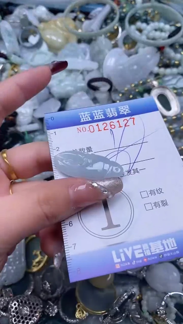 【闪购商品】翡翠颈饰未镶嵌闪购0126127