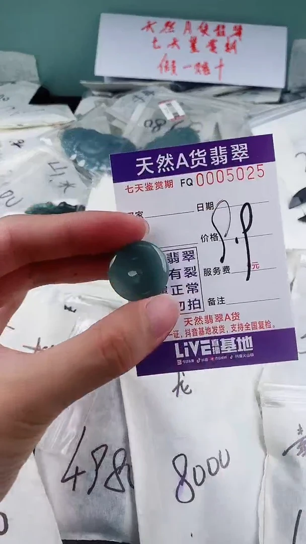 翡翠未镶嵌颈饰 9.9