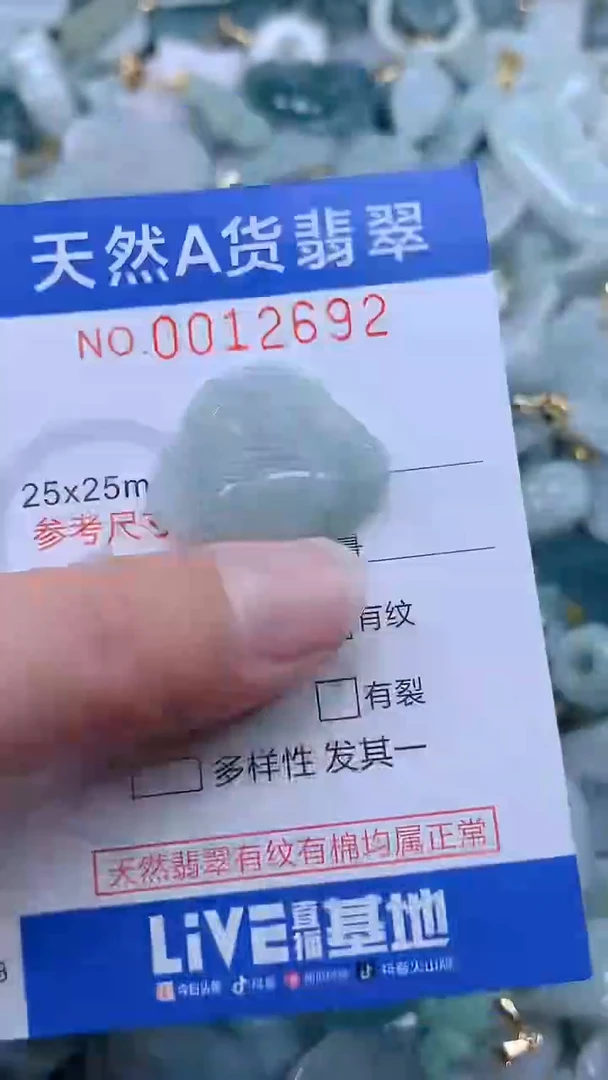 翡翠未镶嵌吊坠(不含链)1
