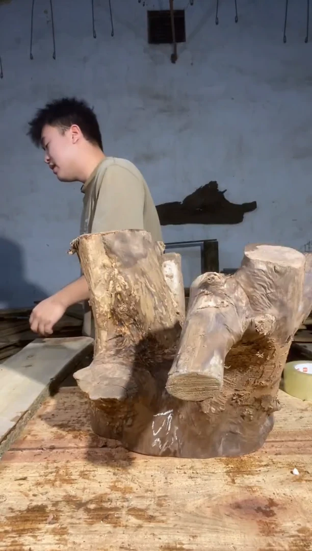 土*鼠小叶桢楠金丝楠1