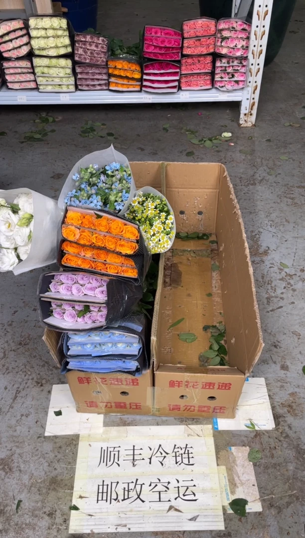 碎冰蓝+海洋之歌+金色海岸+洋甘菊+白桔梗400克+蓝星花
