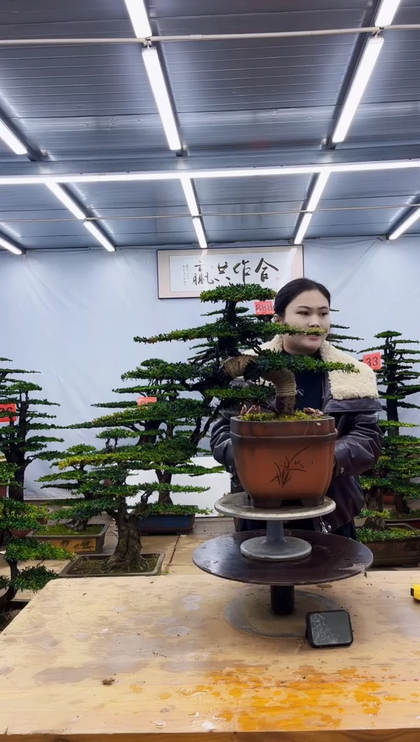 无花朵一物一拍，所见即所得