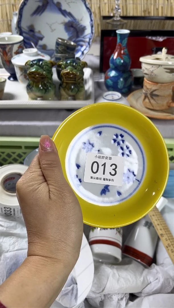 【闪购商品】碟            013