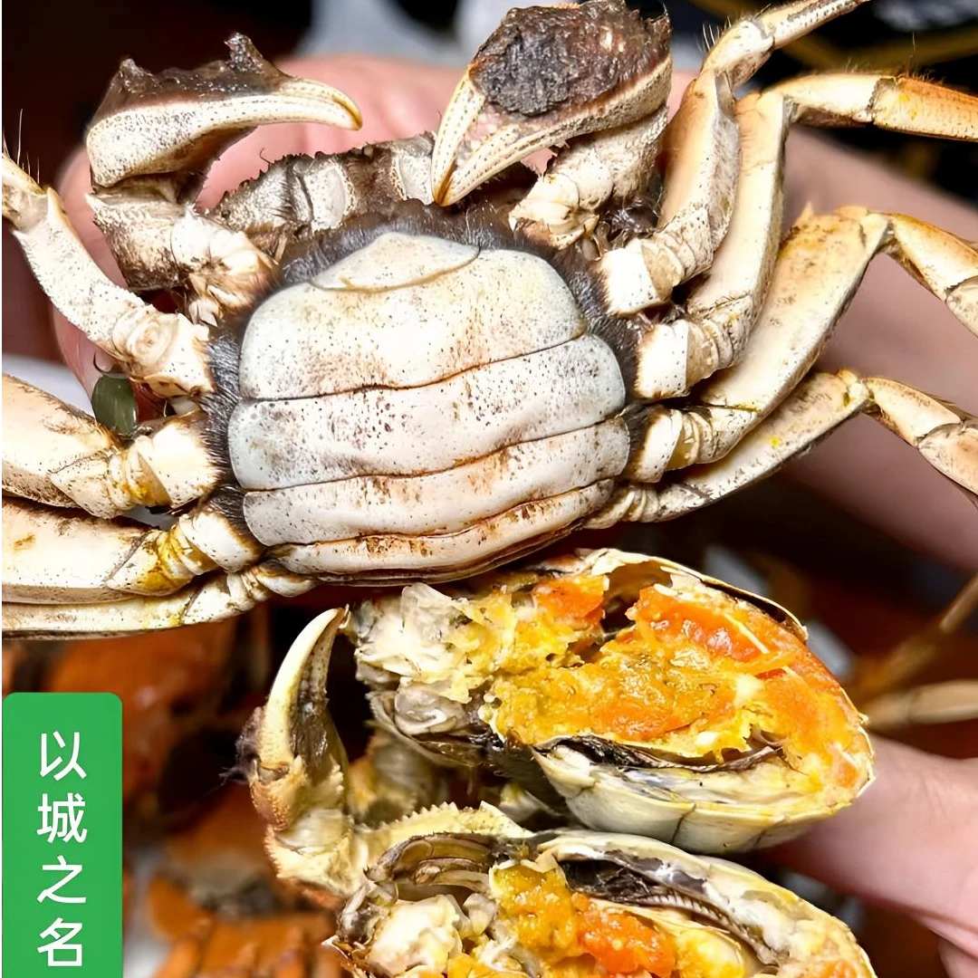 【活蟹】正宗盘锦稻田蟹  全母蟹0.8-1.1两/只2斤-3斤 顺丰包邮