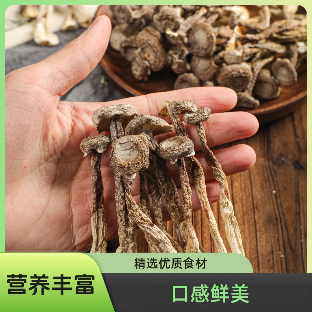 (发4包)古田鹿茸菇干货不熏原干煲汤爆炒干锅家庭囤货可试吃一包