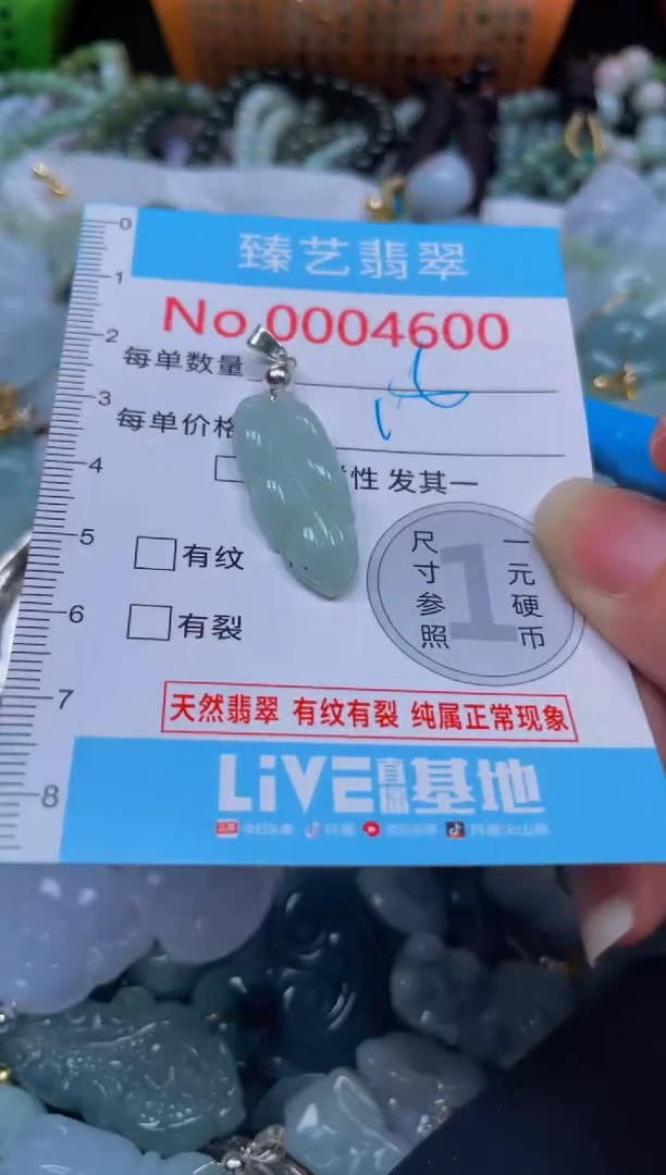 颈饰未镶嵌翡翠4600