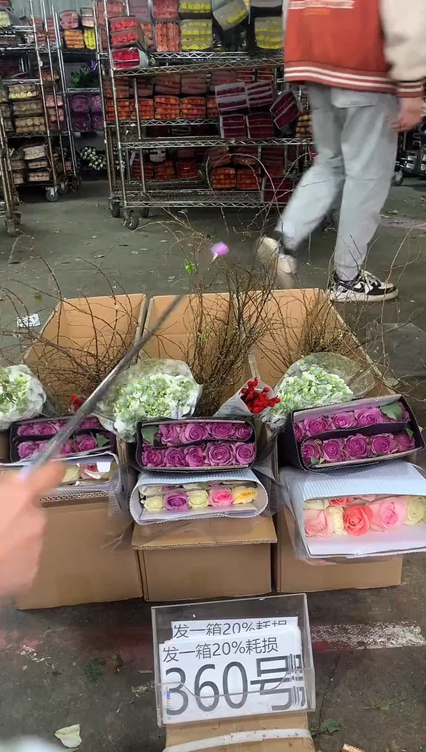 360号♥中通含20%耗损发一箱鲜花