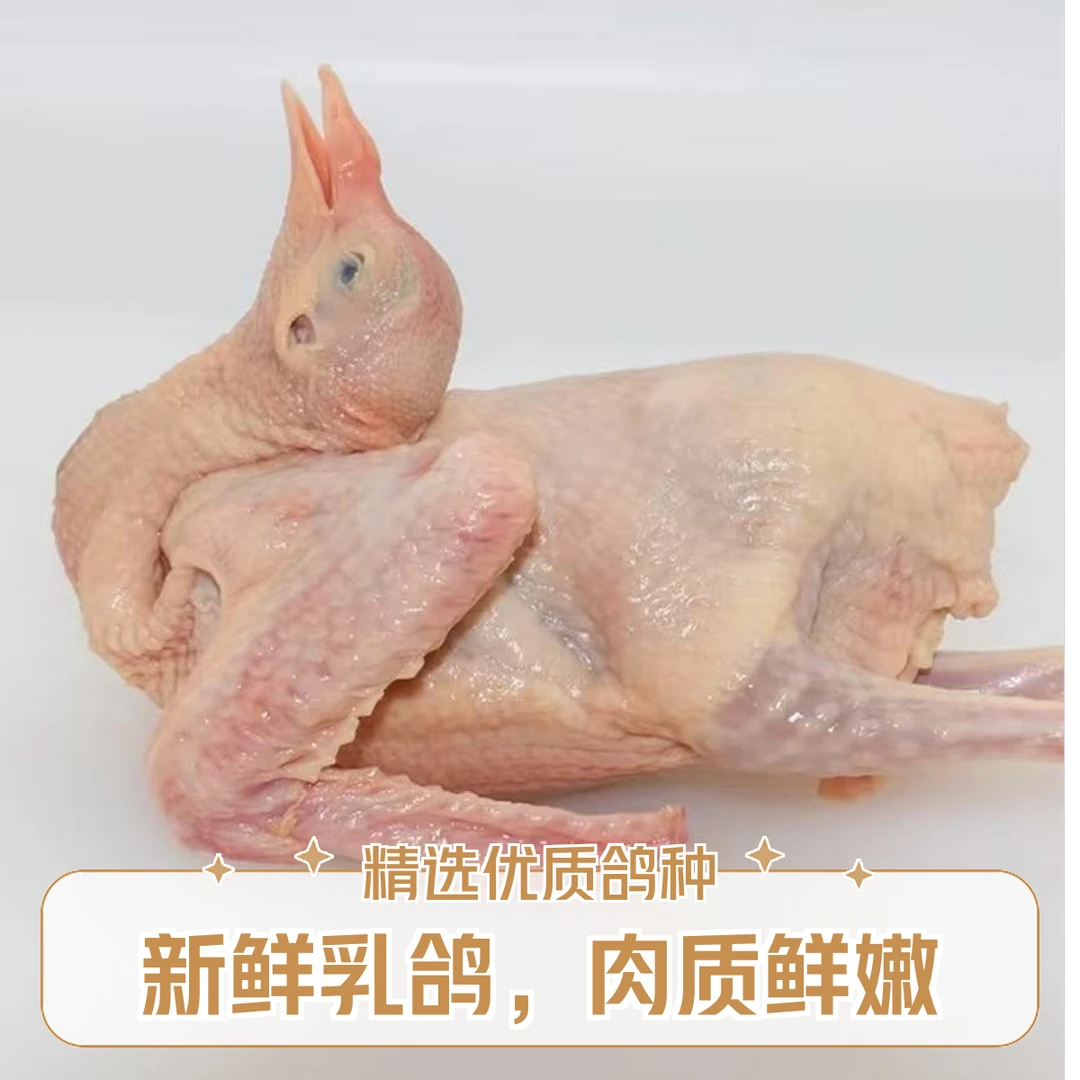 6只 5两左右净膛乳鸽