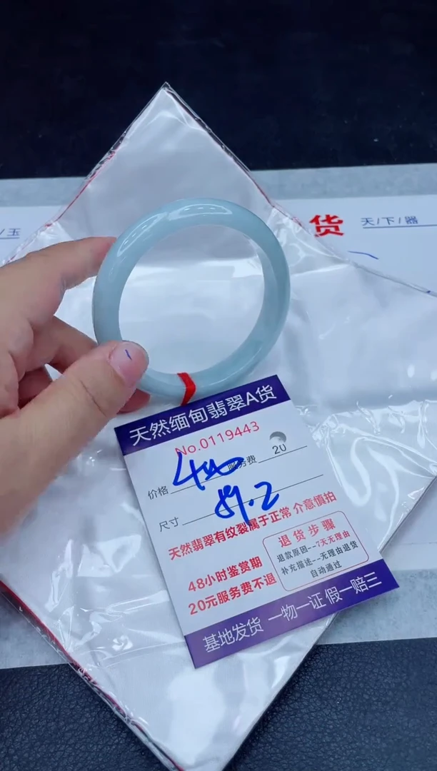 未镶嵌手镯翡翠400.0000