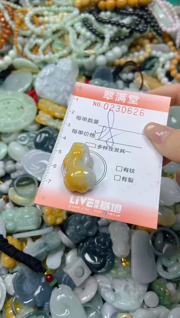 颈饰未镶嵌翡翠闪购0230626