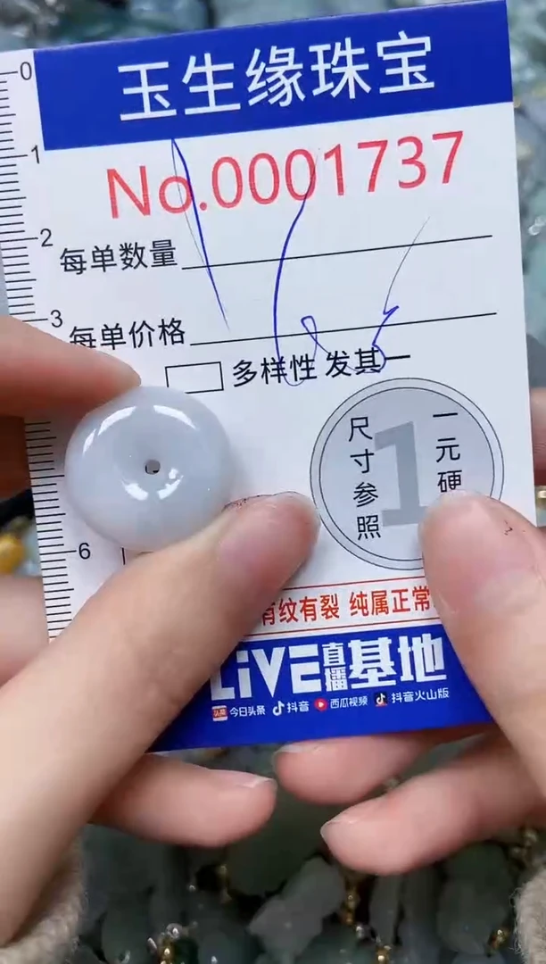 【闪购商品】翡翠颈饰未镶嵌闪购00001737