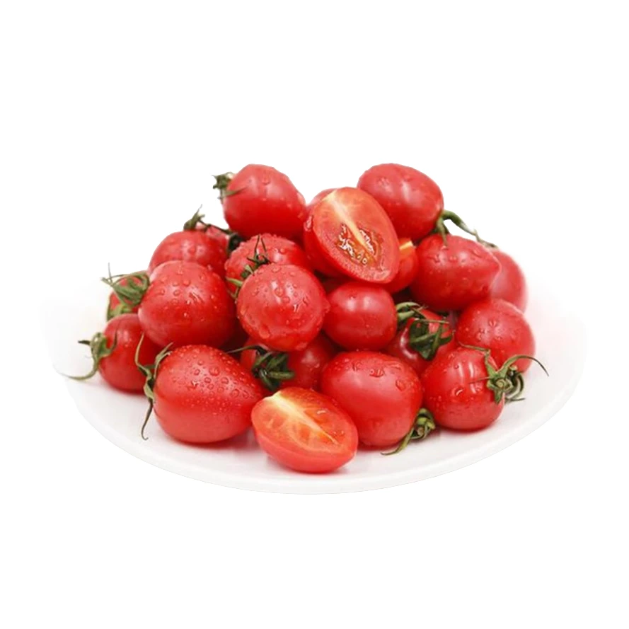 小柿子  电白千禧 毛重1200g