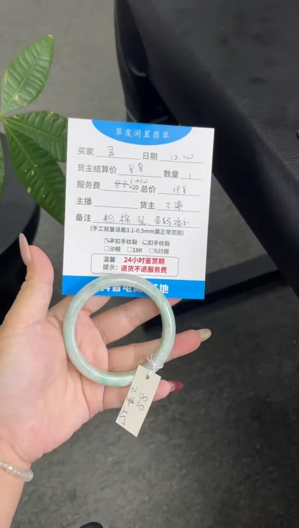 颈饰未镶嵌翡翠灵*?手镯