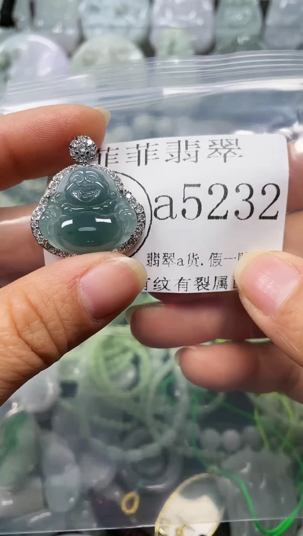 【闪购商品】翡翠颈饰未镶嵌闪购5232