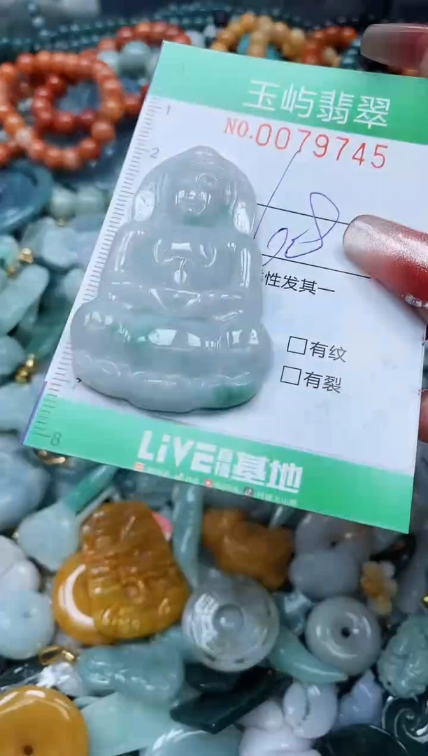 【闪购商品】翡翠颈饰未镶嵌闪购0079745