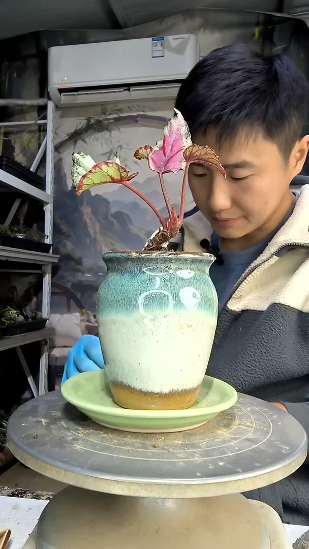 K****_中青园艺一物一拍花119