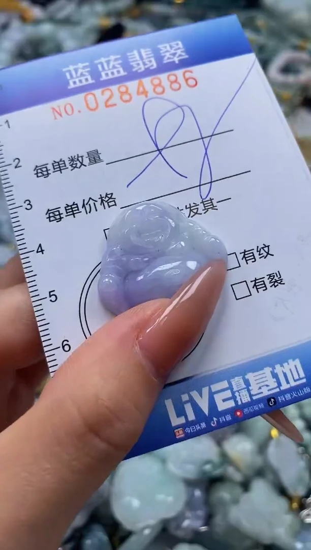 翡翠未镶嵌颈饰闪购0284886