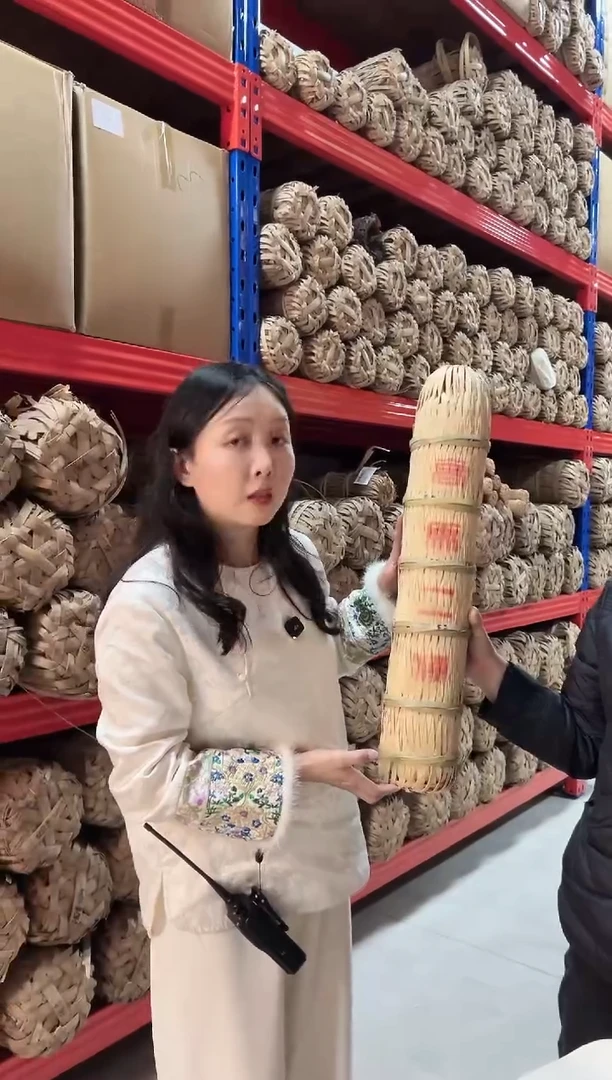 高马二溪2014年 古树芽尖 百两茶 5斤