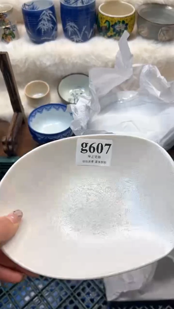 【闪购商品】瓷片          g607