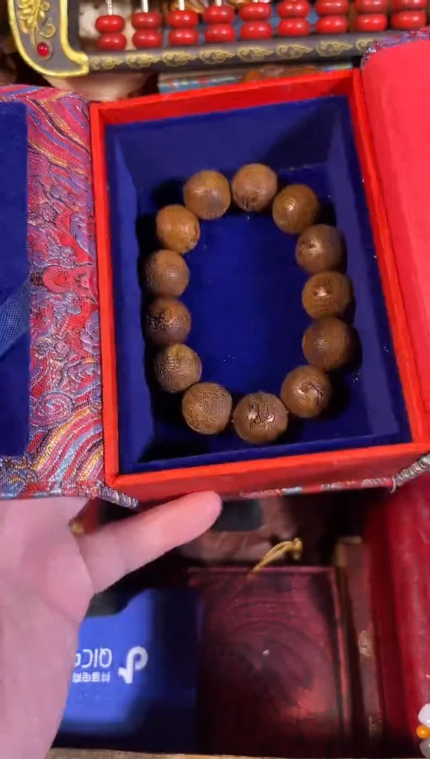 黄杨木11111111111111111