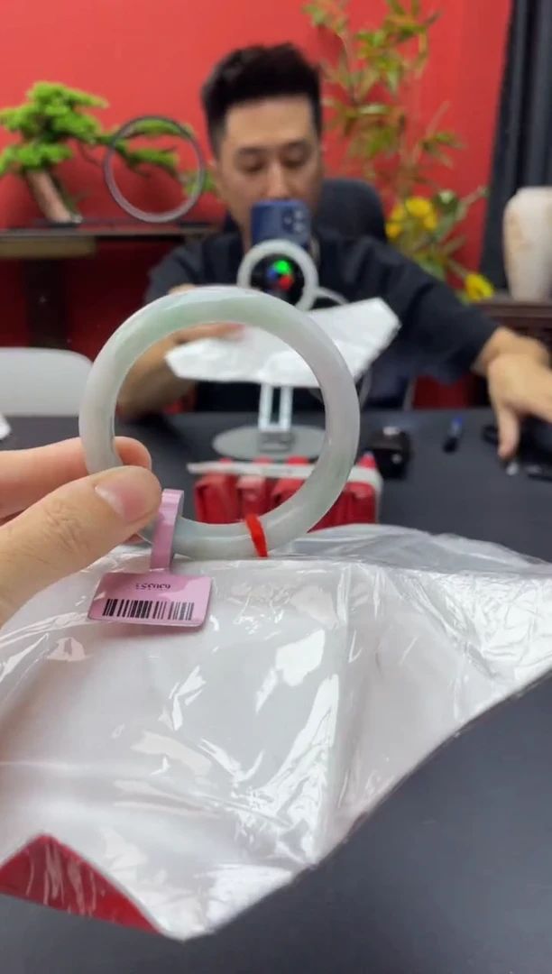 未镶嵌手镯翡翠2