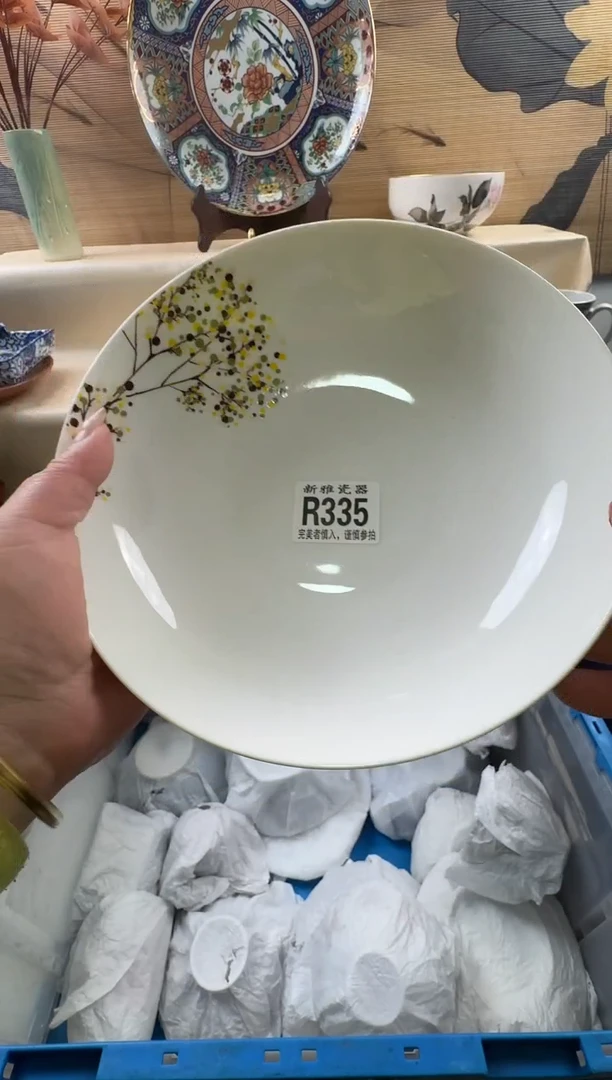 瓷片微****3          R335