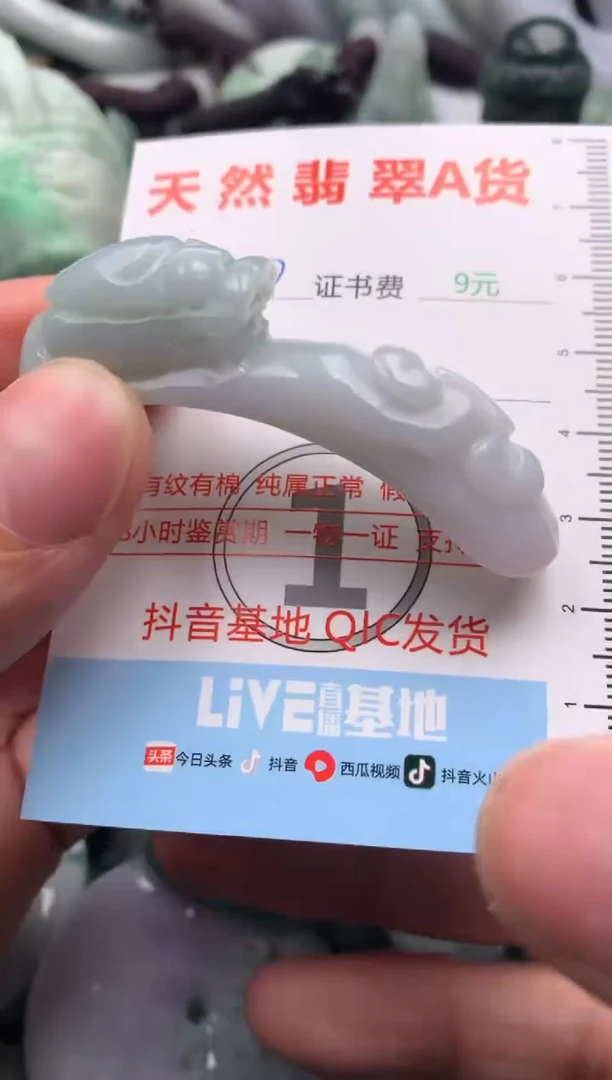 翡翠未镶嵌吊坠(不含链)1