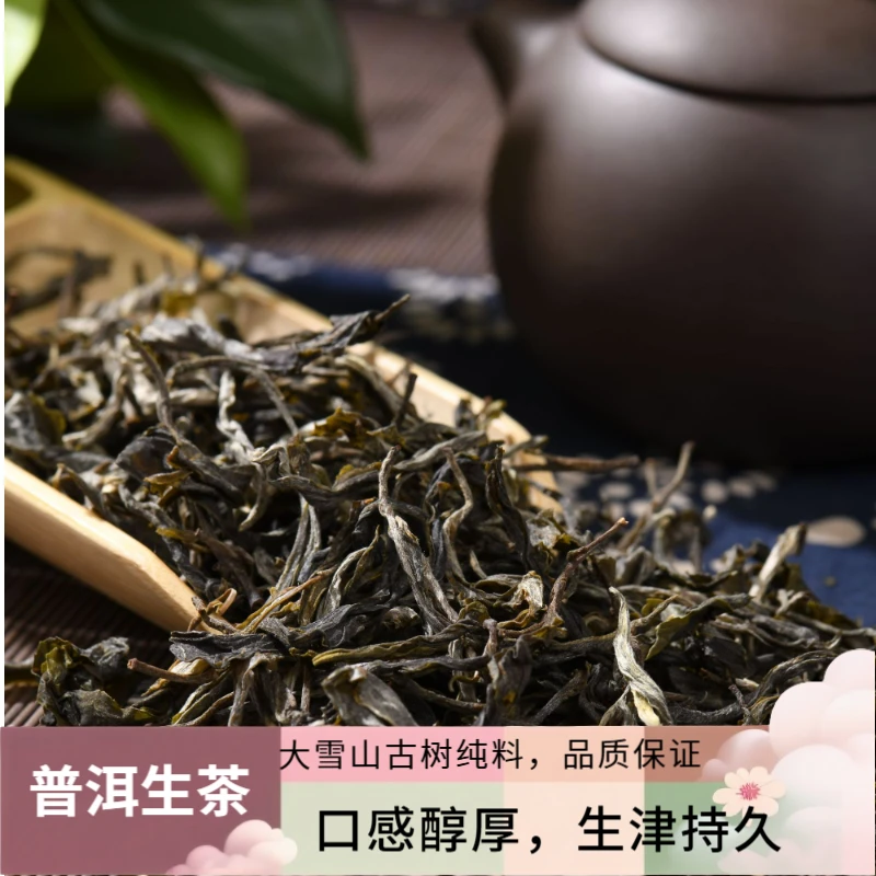 自产自销云南高山大雪山古树普洱生茶