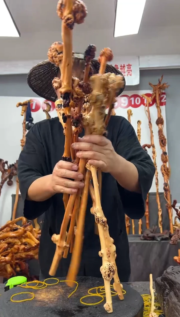 黑果木其他黑果木287