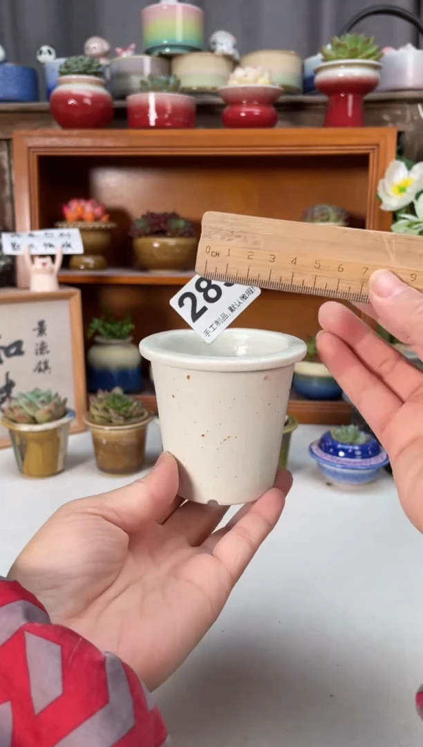 瓷片289知木小芳花盆编号